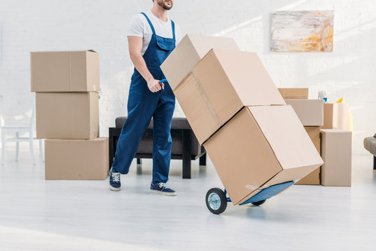 How Much Do Moving Services Cost in 2025